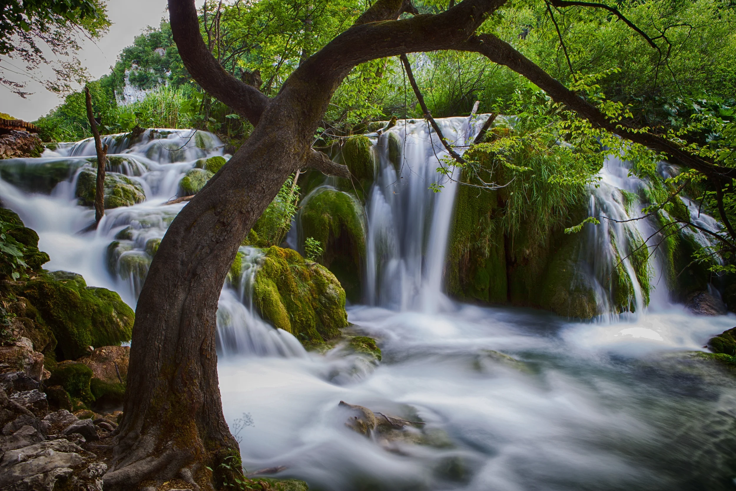 5Q6A0227_HDR (1).jpg