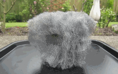 Steel wool and a battery