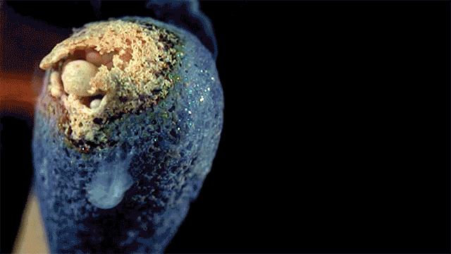 A burning matchstick