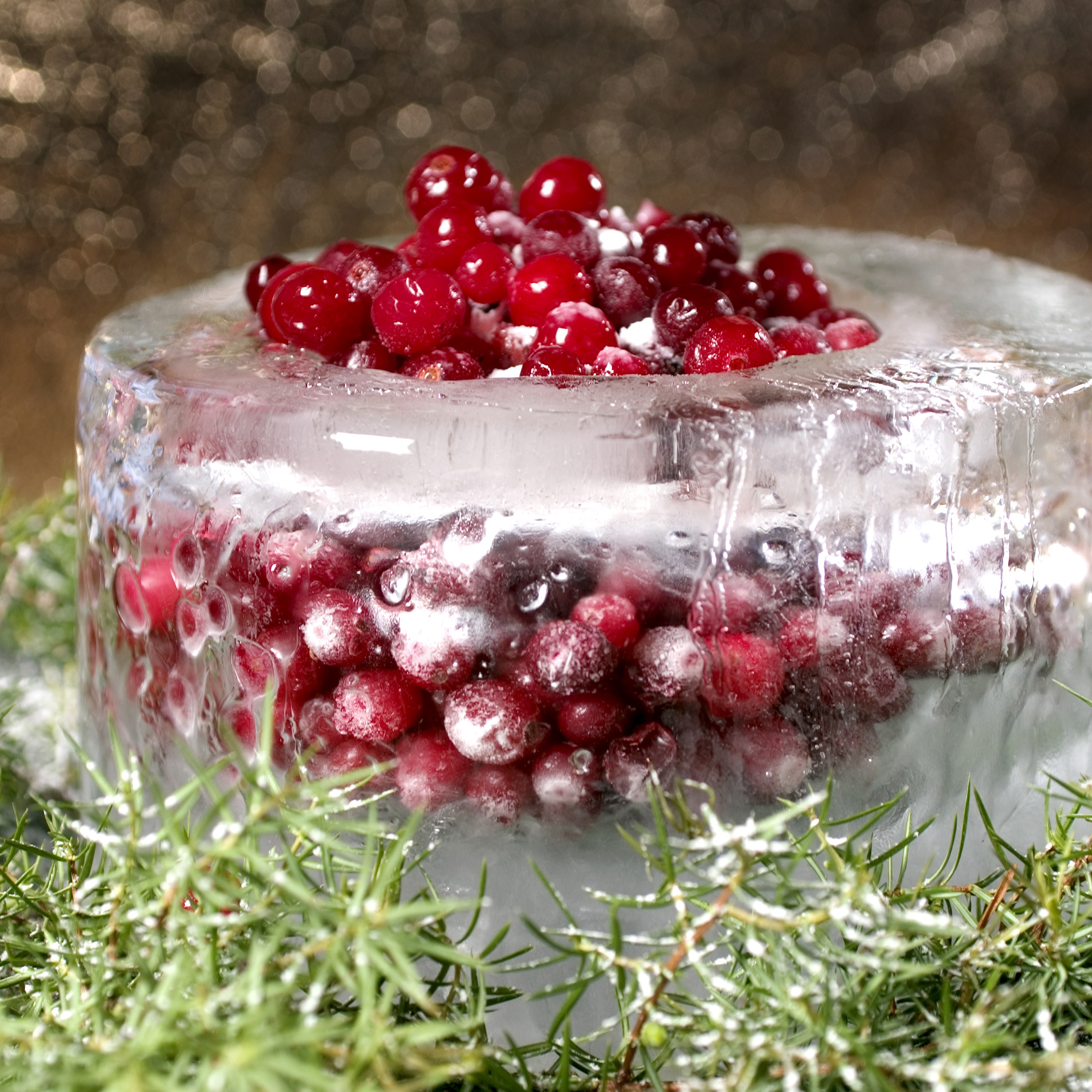saaga-cranberries-in-icy-bowl.jpg