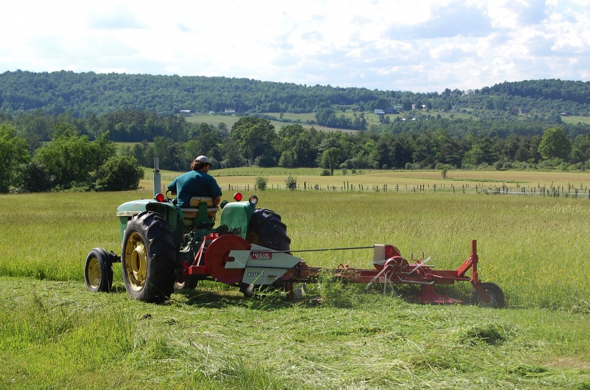 animal_farm_colin clark_tractor.jpg