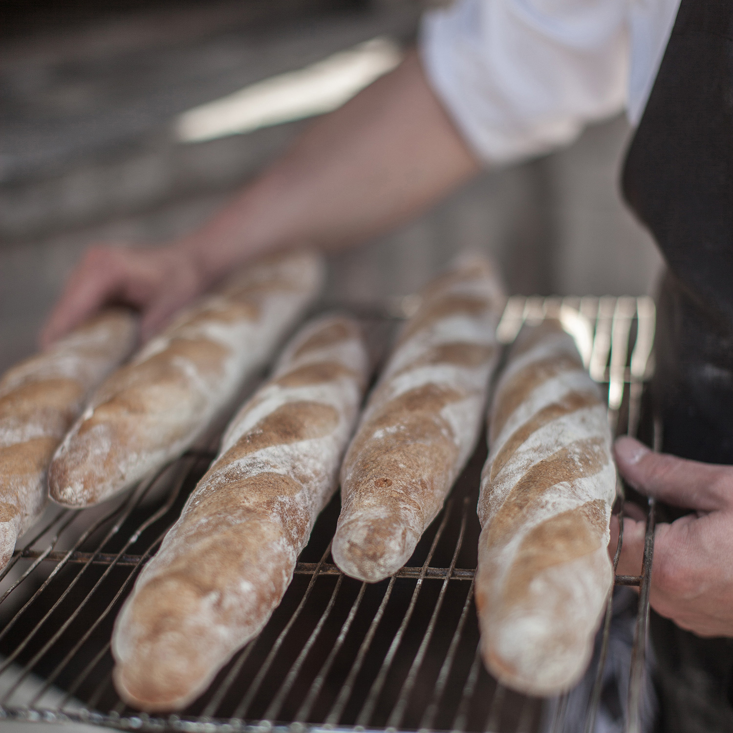 in_de_wulf_piet_dekersgieter_bread_w.jpg