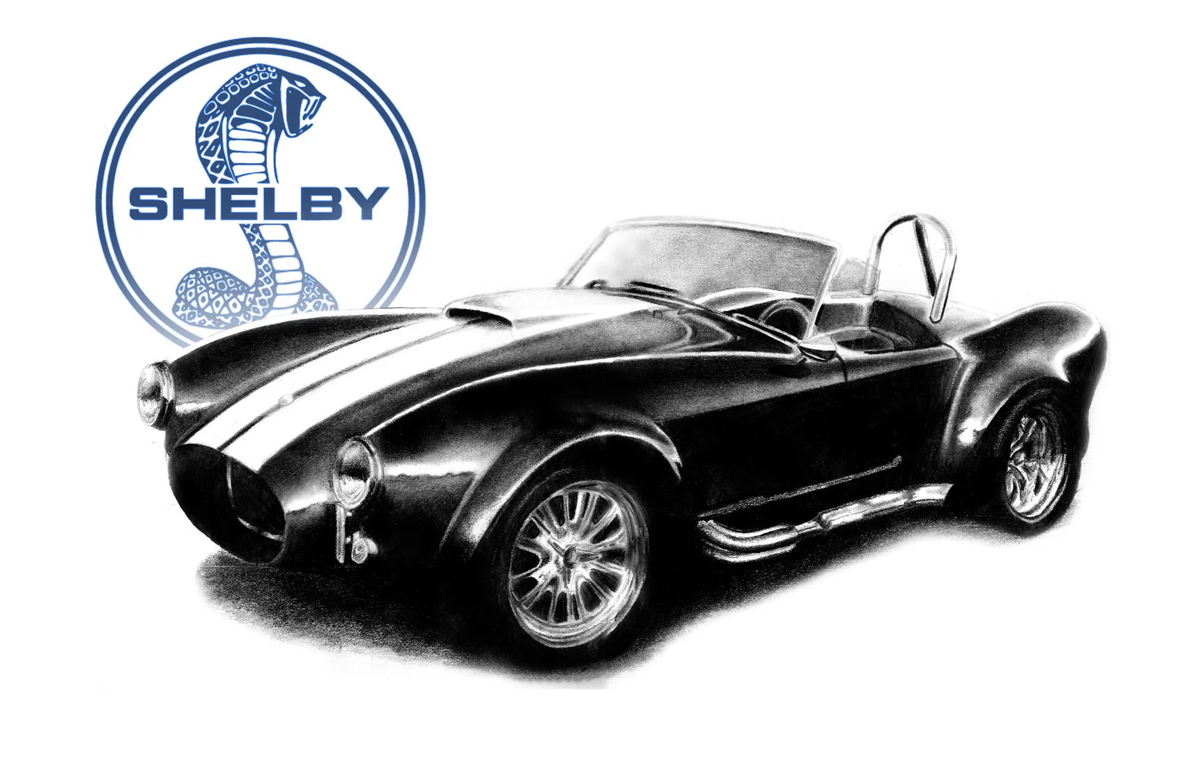 Shelby427_DONER.jpg