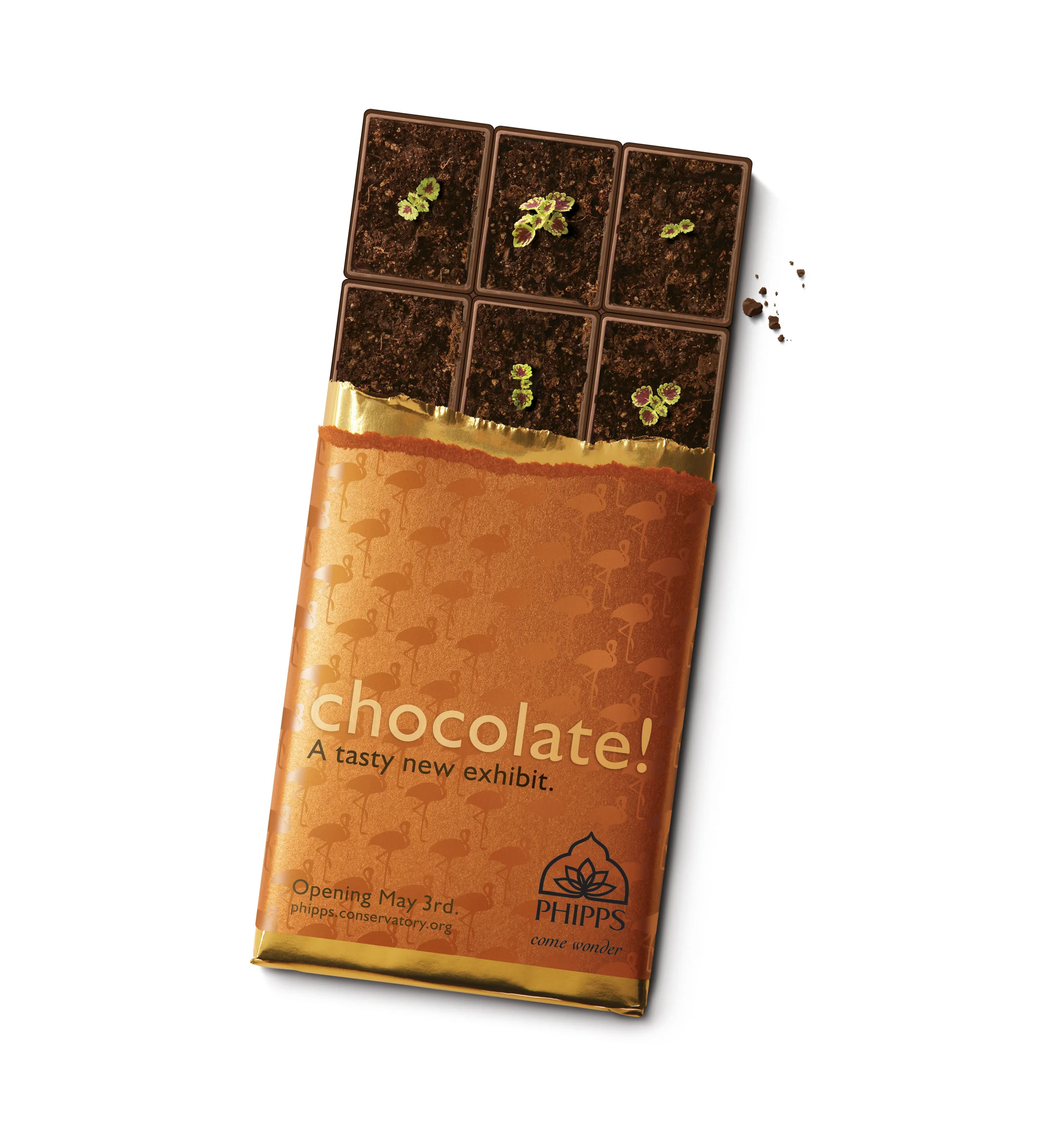 Phipps Chocolate color newspaper ad