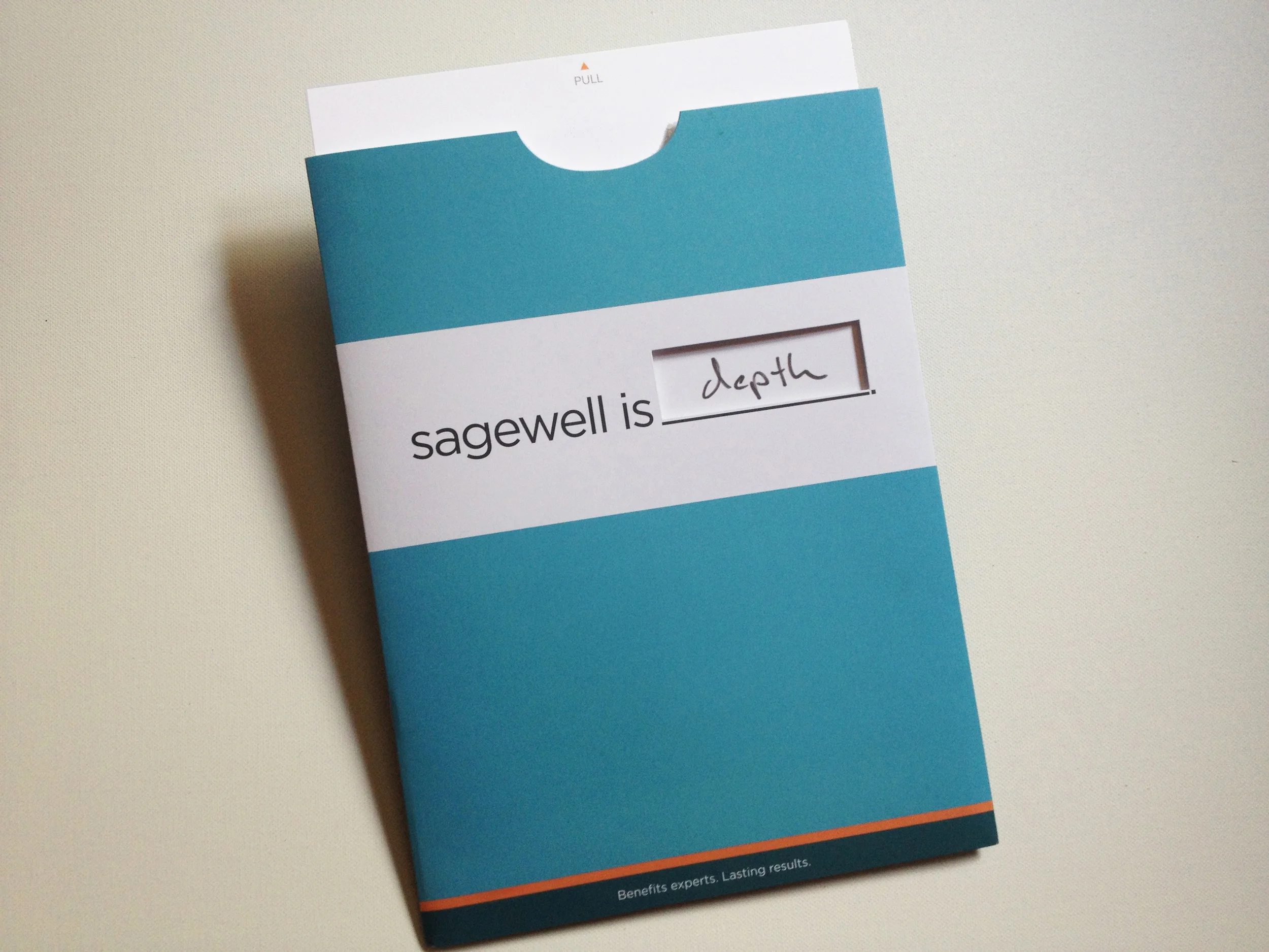 Sagewell capabilities brochure cover 2 of 2