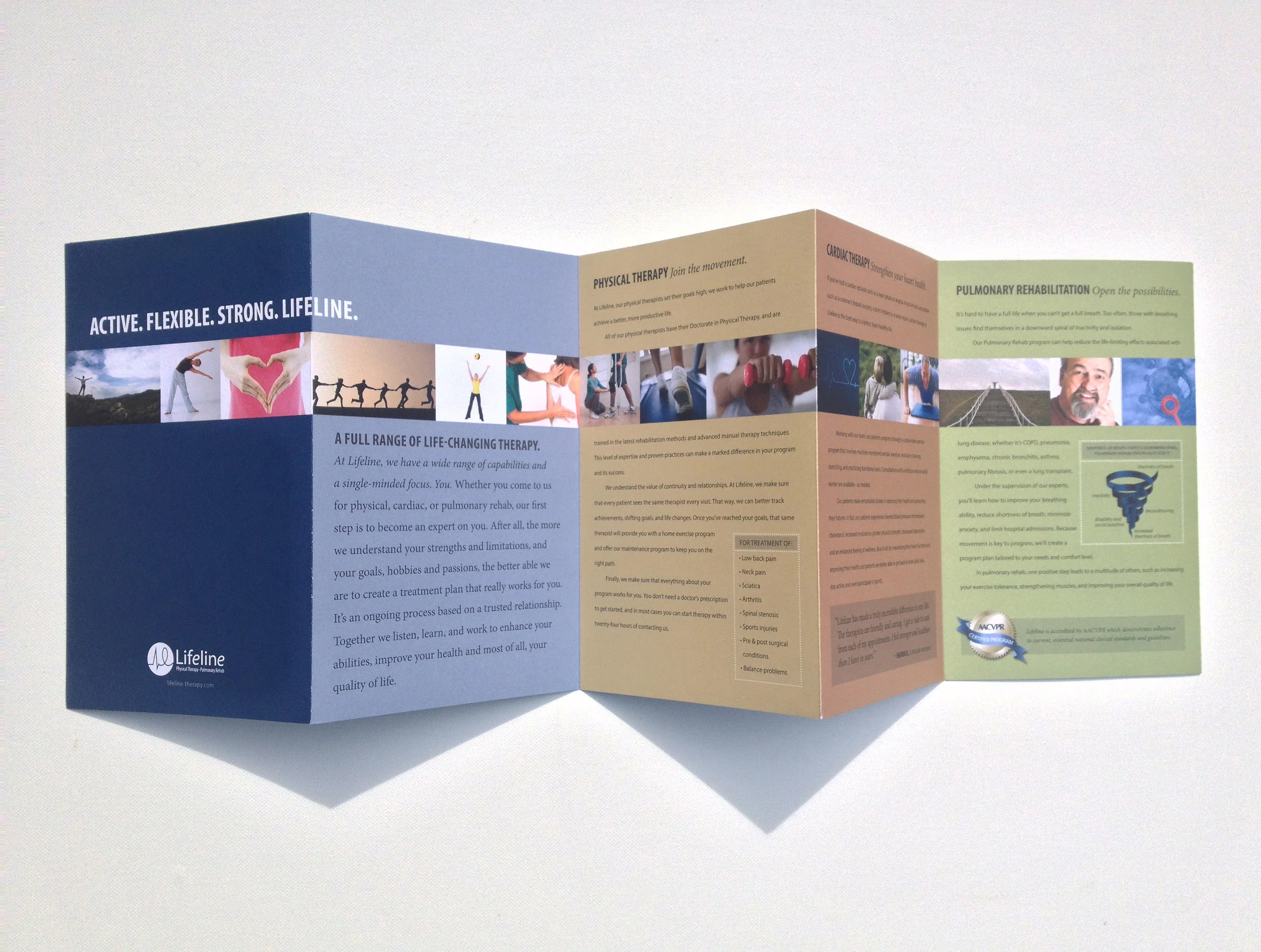 Lifeline Brochure.jpg