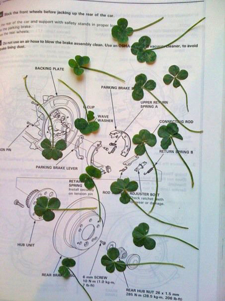 I found these in my in-laws' front yard. Very lucky front yard they have, and now this car manual of theirs is also very lucky.