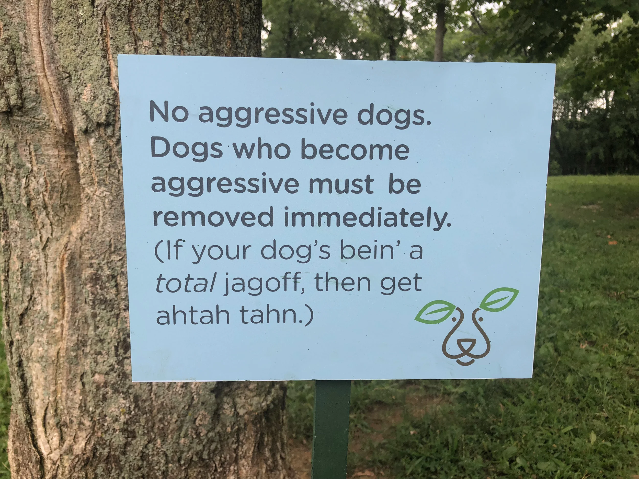 small6.jpg