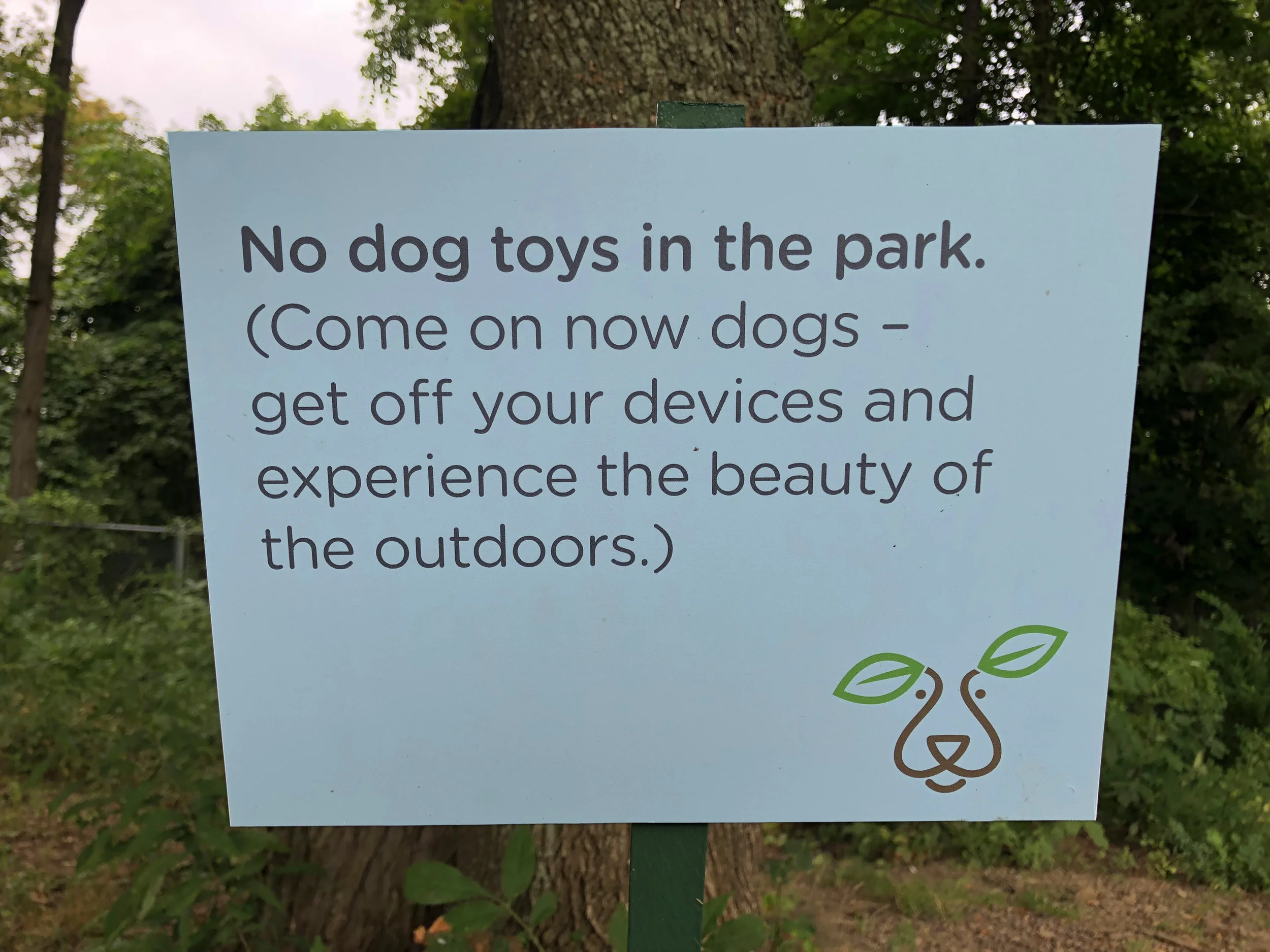 small10.jpg