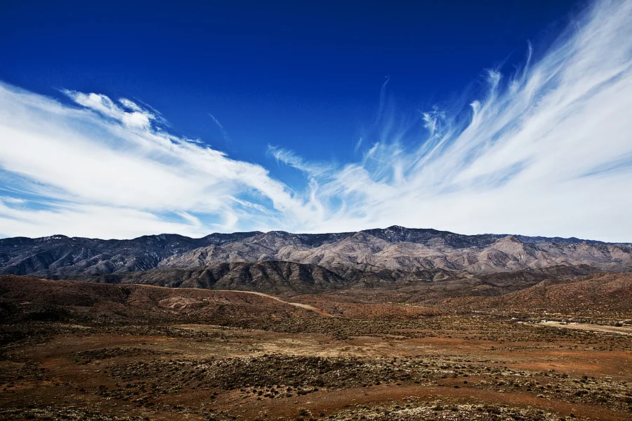 Arizona