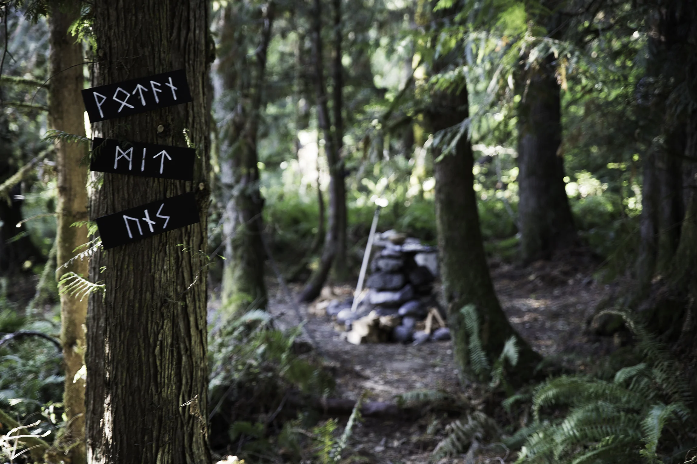 “Wotan Mit Uns” (Odin With Us). The horgr (altar) of the Cascadian Wolves in the distance