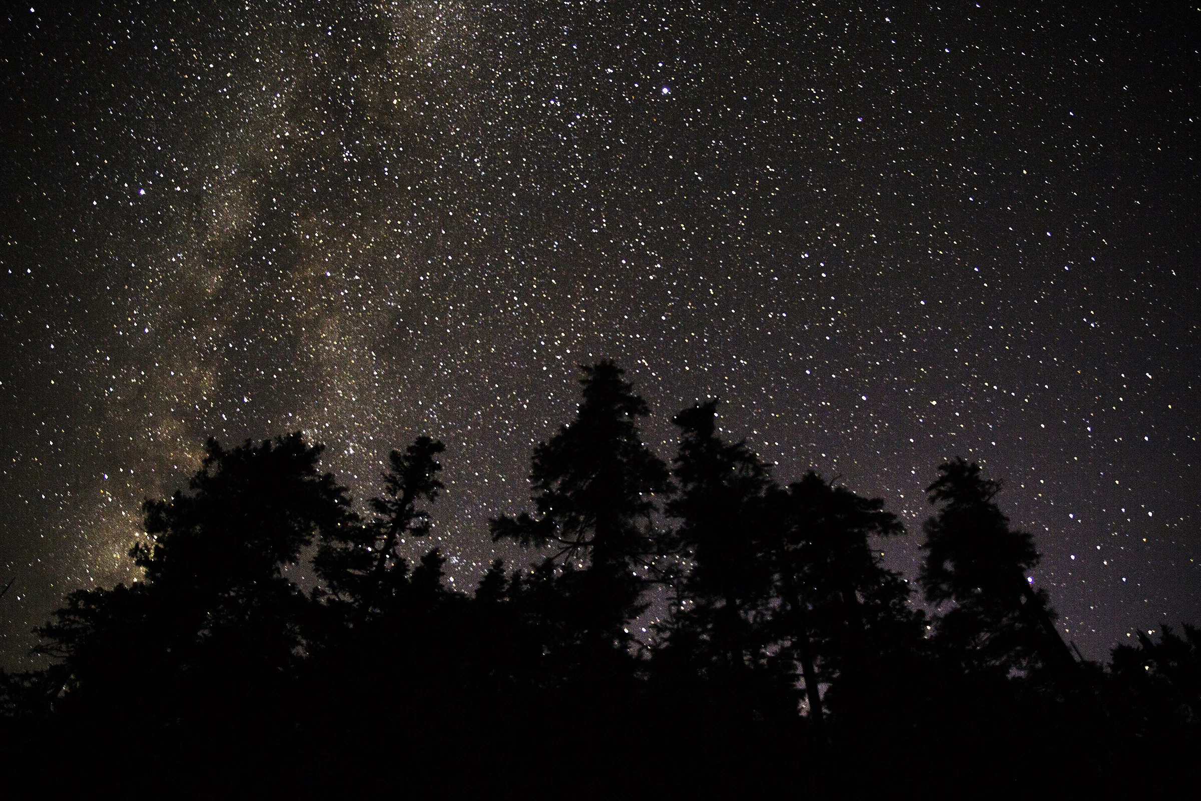 Midnight in Cascadia