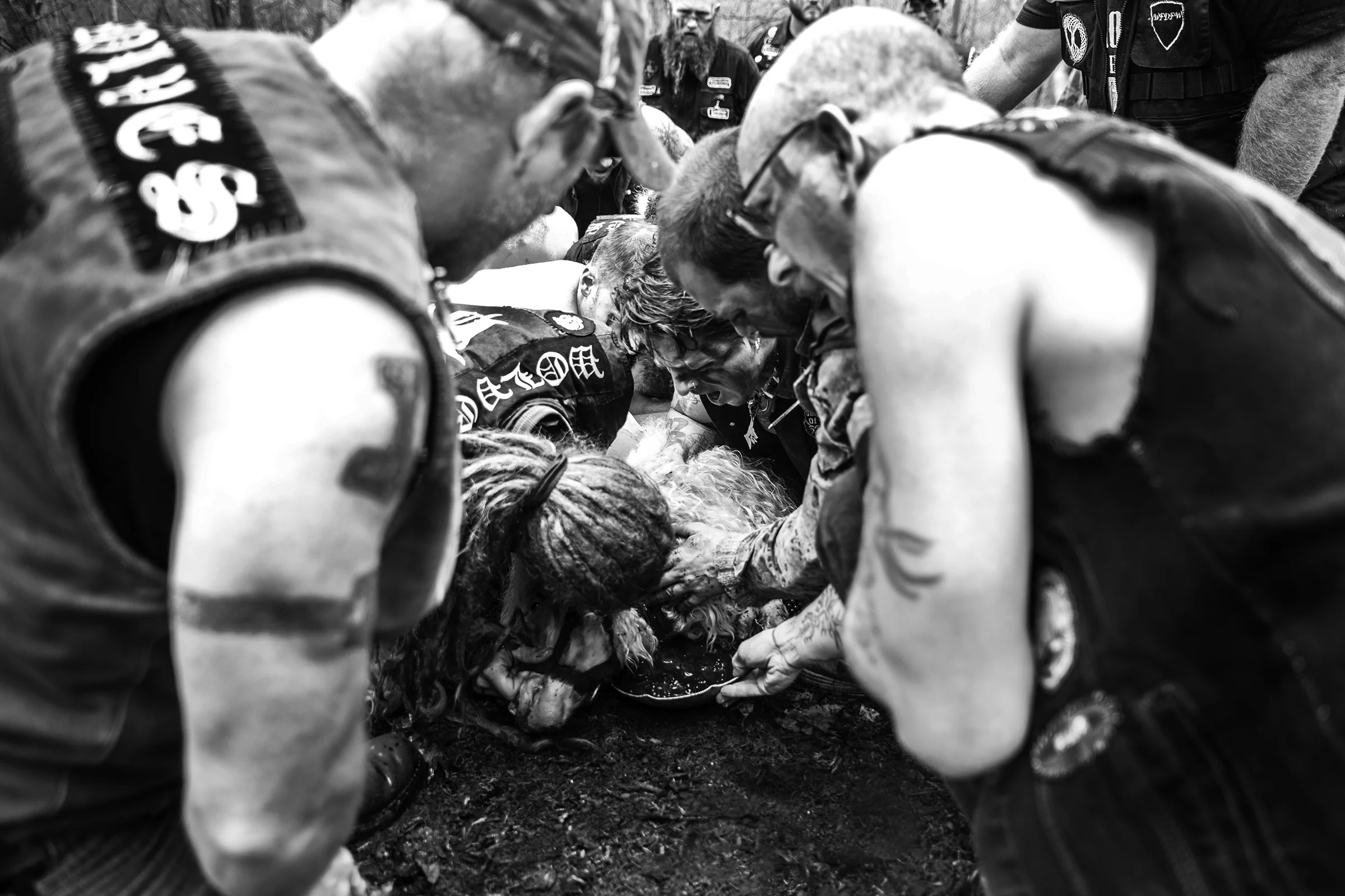 All Life Comes From Death