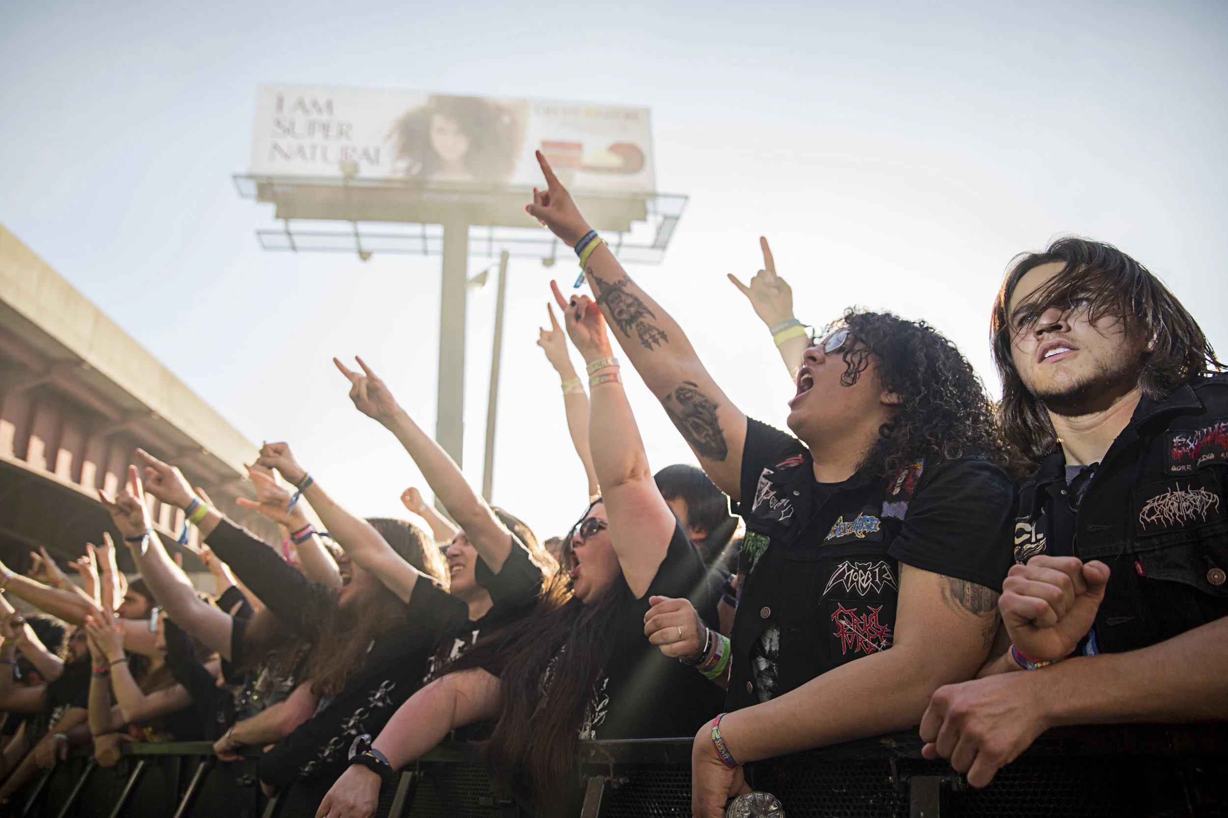 MDF 2015