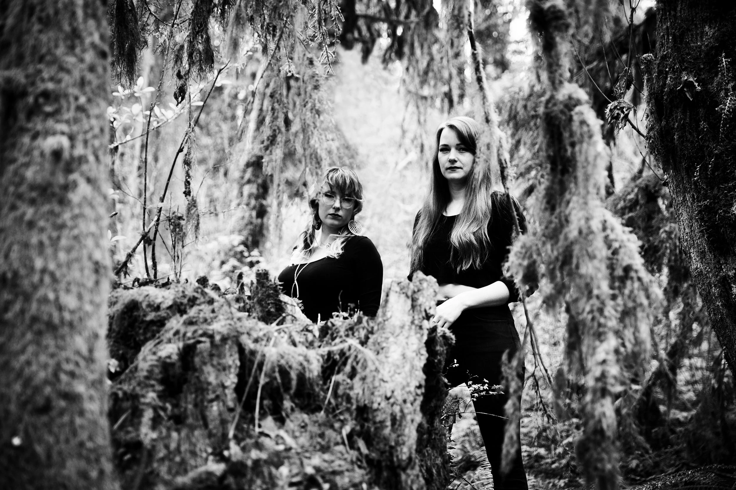 Hoaxed. Portland, 2020