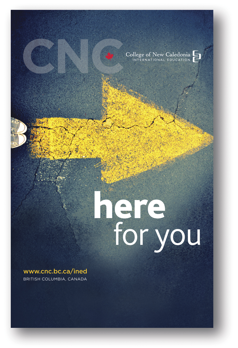 CNC_banners-1_lores.jpg