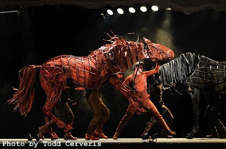 Joey Fight Credited.jpeg