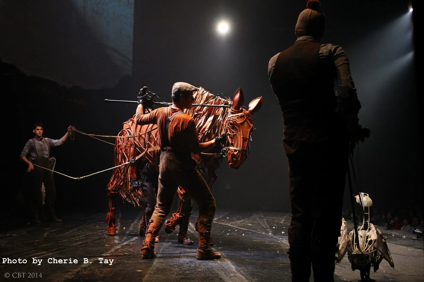 Joey Goose Credited.jpeg