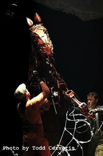 Joey Wire Credited.jpeg