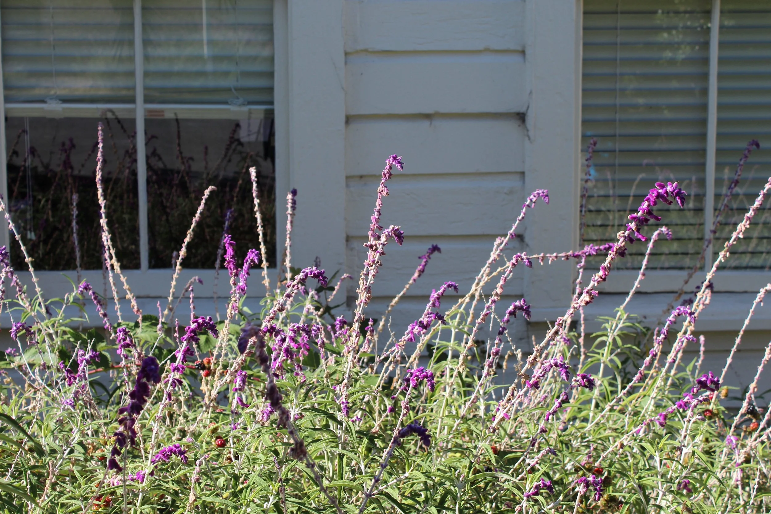 A Look Into ITT Pilates: Part 2