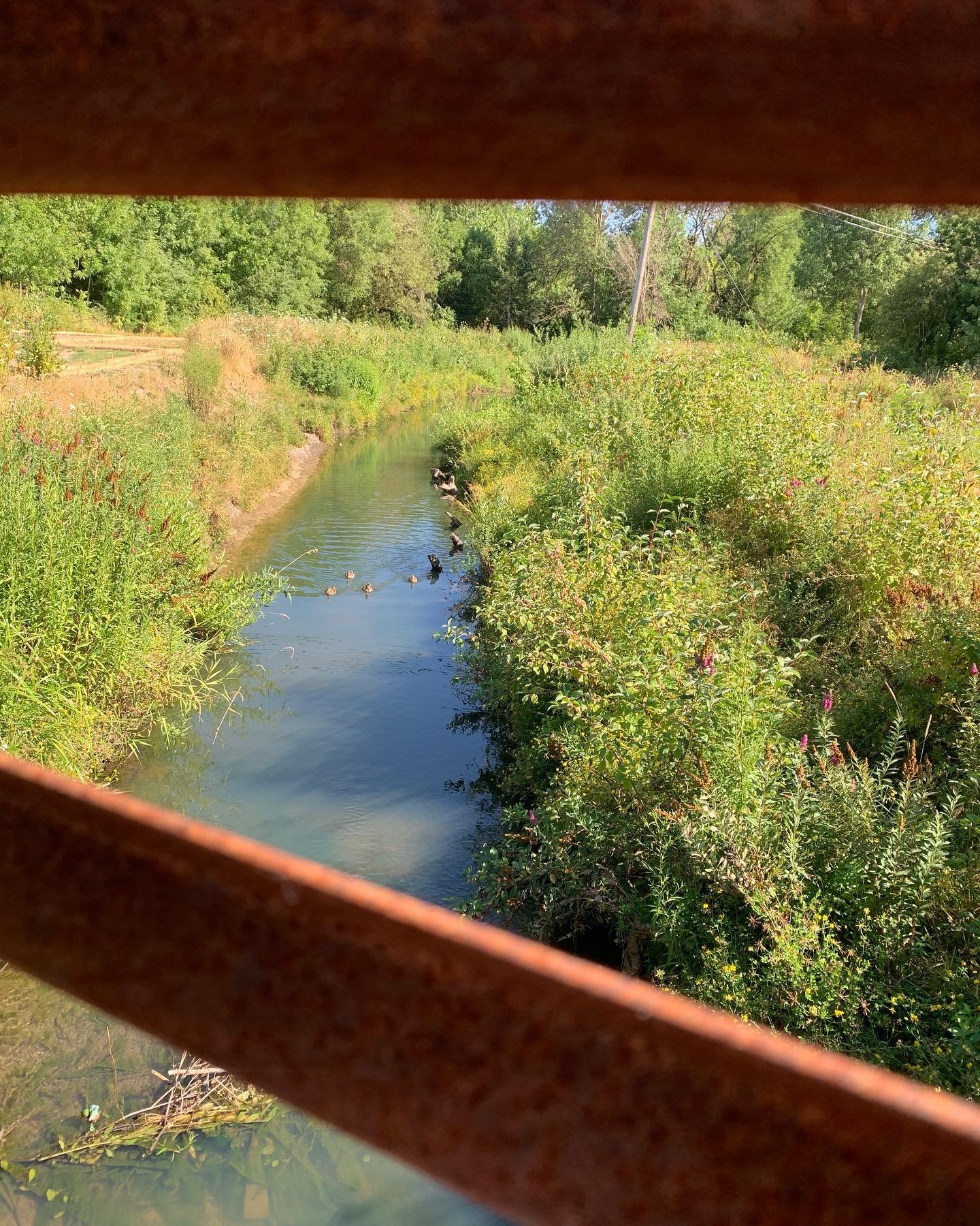 The little things around us teach us so much. What have you learned by slowing down and looking close lately? I&rsquo;m learning to let myself flail chaotically when life throws me that way, to slow down and pause whenever possible, and to seek for l