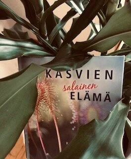 Kasvien salainen elämä.jpeg