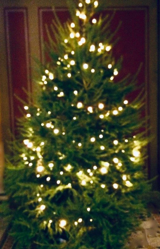 Joulukuusi.jpeg