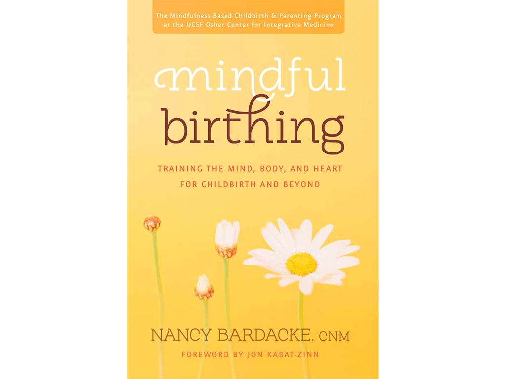For HarperOne. I’m so pleased with how the lettering turned out. I manipulated a font to link the words. Included a fair amount of Photoshop to alter the buds and flowers in this stock image to suggest the rhythm of birth, and to extend the image background to work for a full bleed.
