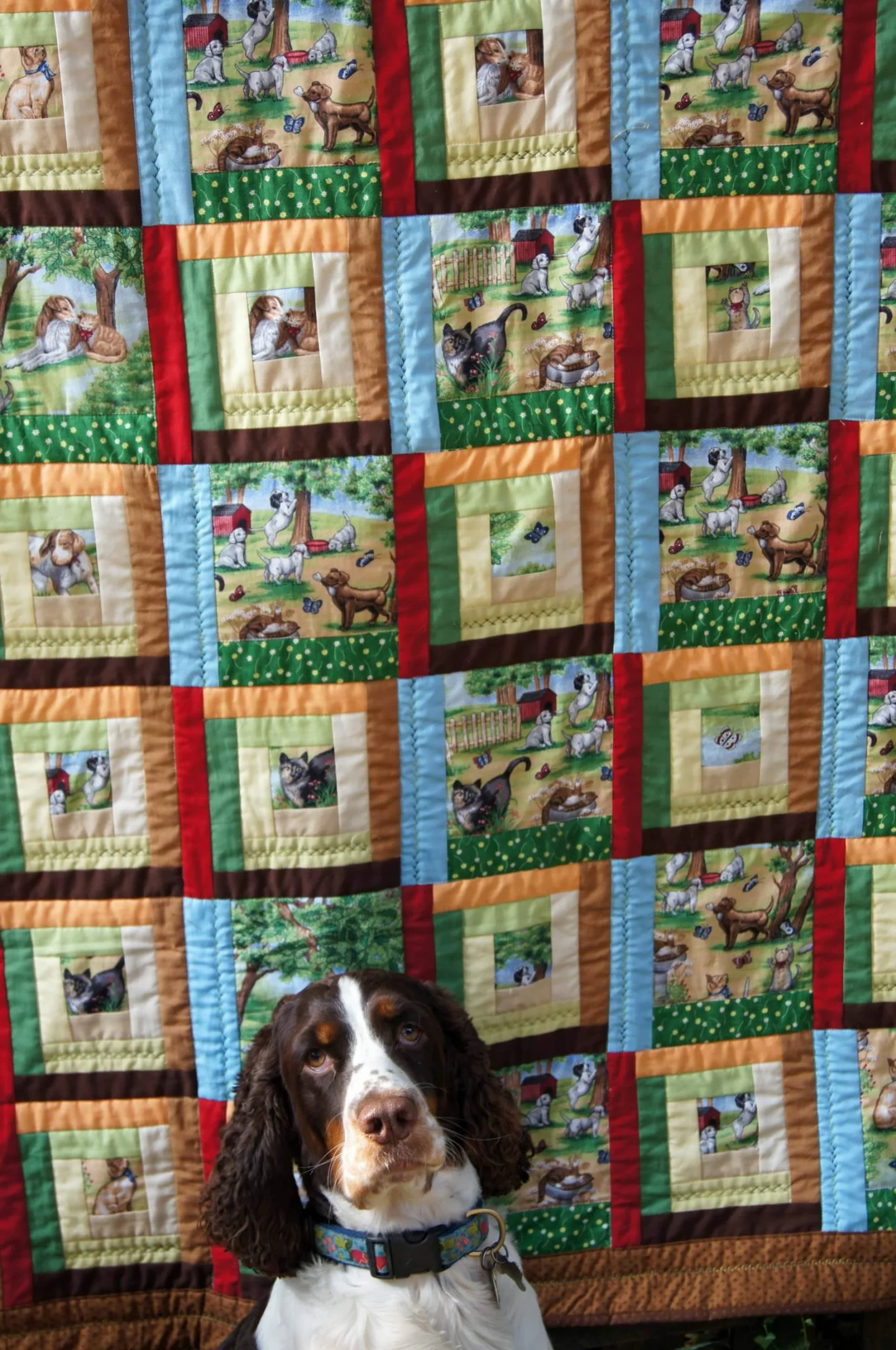 Quilt SDQ Dog park.jpg