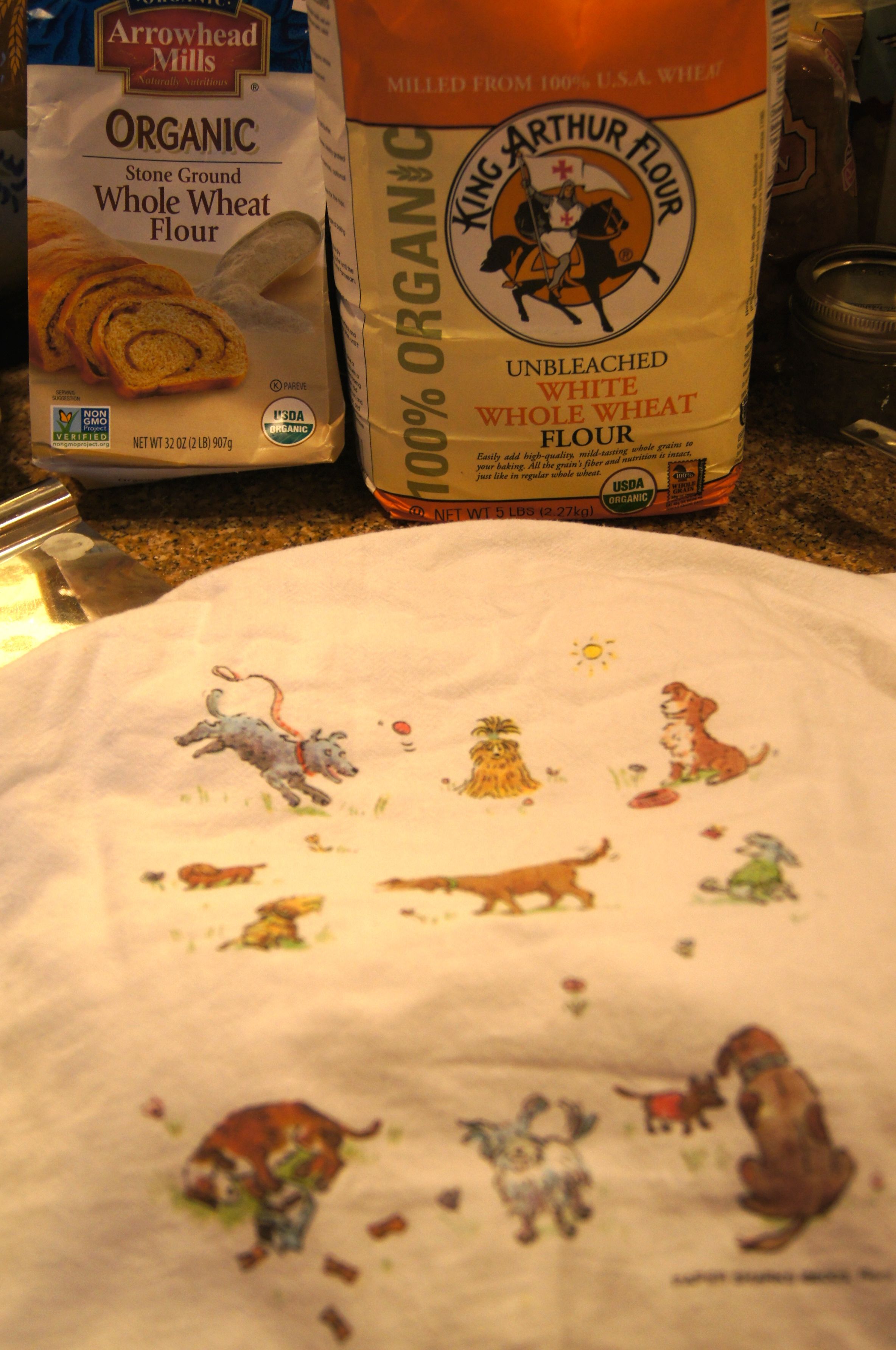 Bread rising under a doggy dishtowel