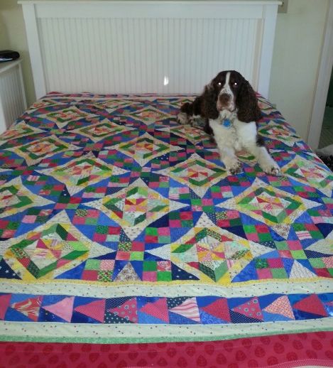 My Celtic Solstice quilt, with Taffy