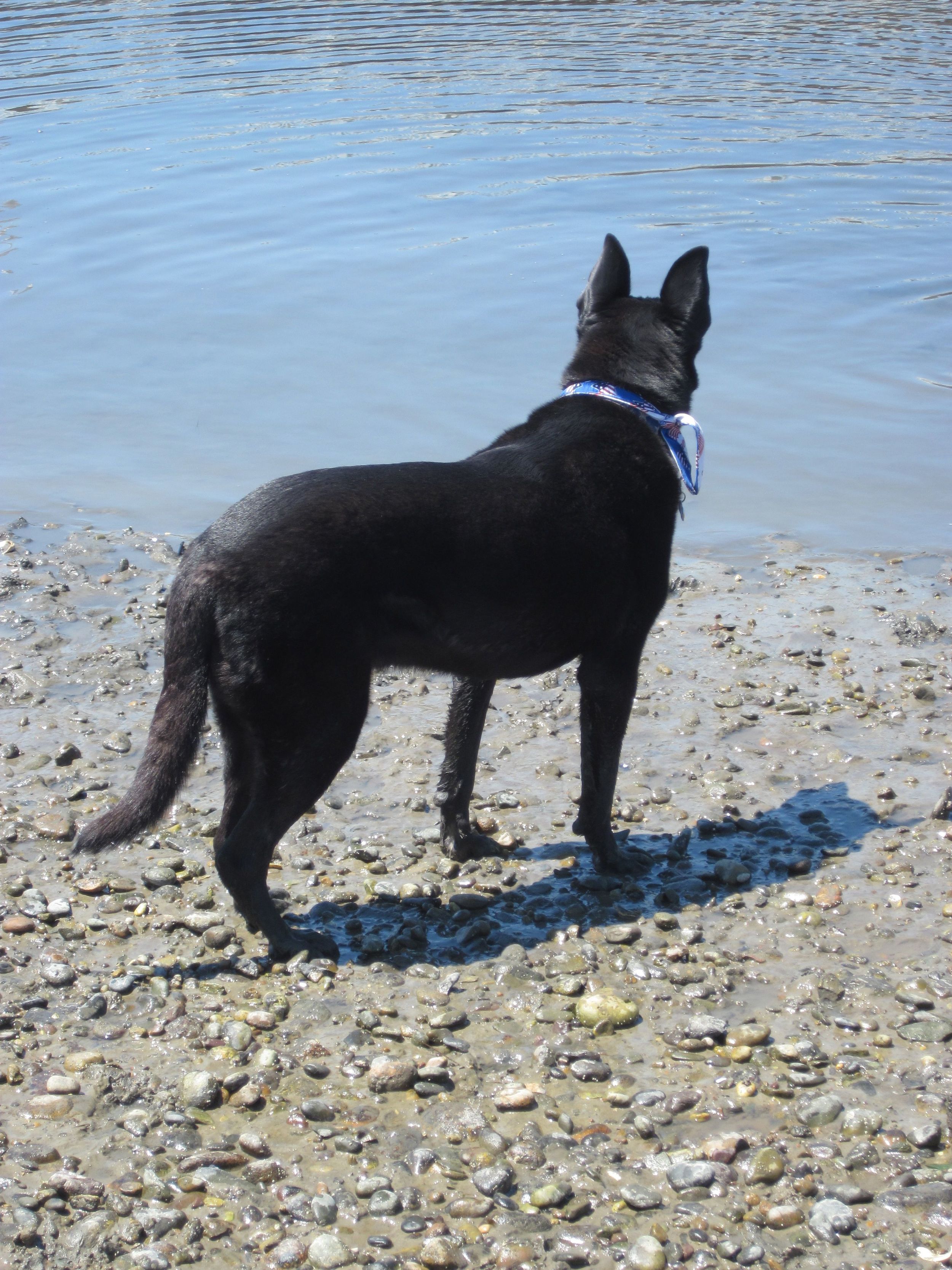 Jake at the beach.jpg