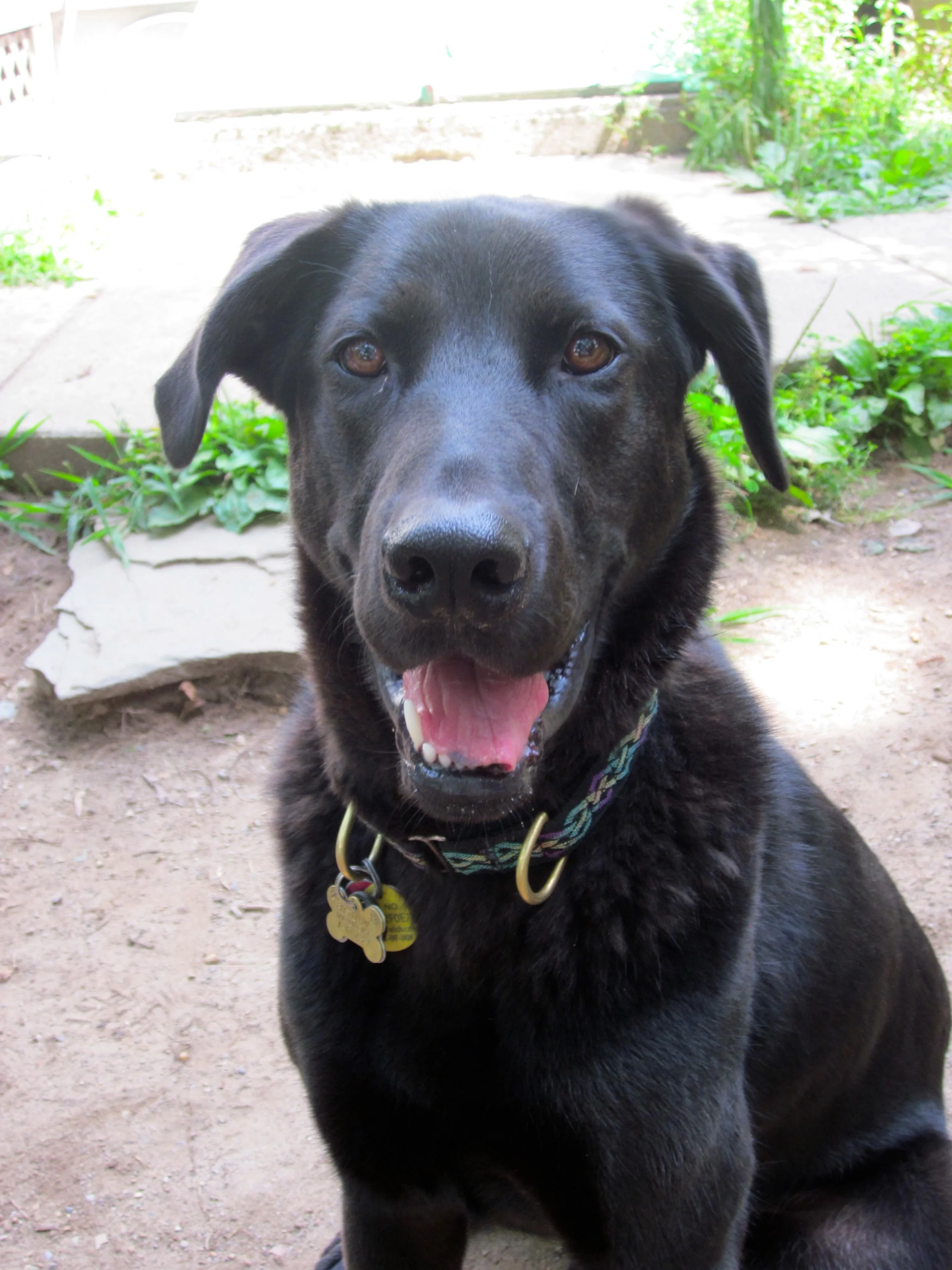 Hazel portrait 8-13.jpg