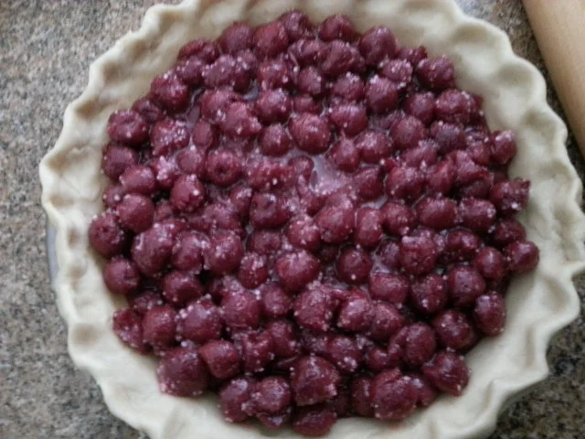 20150605_100555.jpg