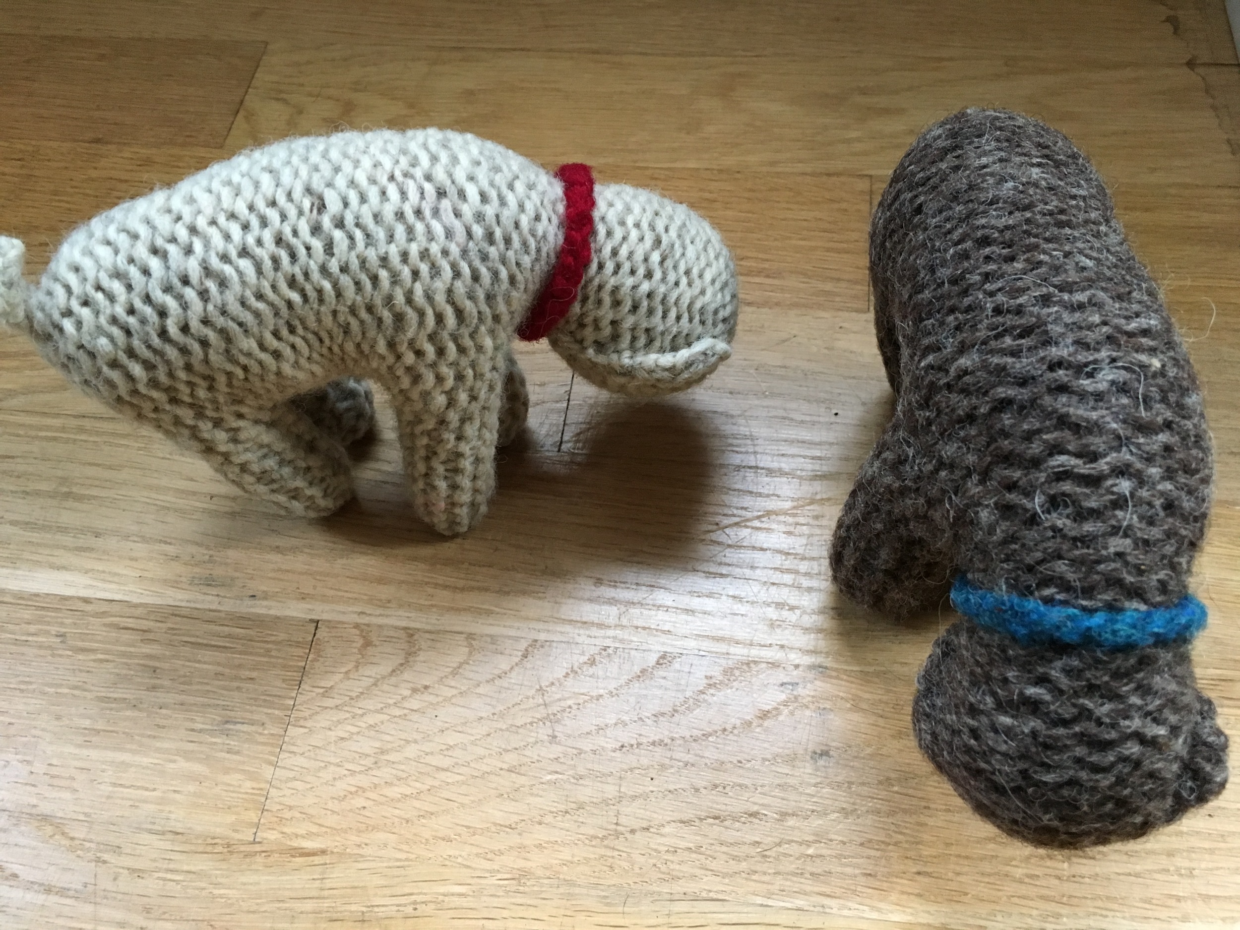 Christmas knitted sheep.jpg