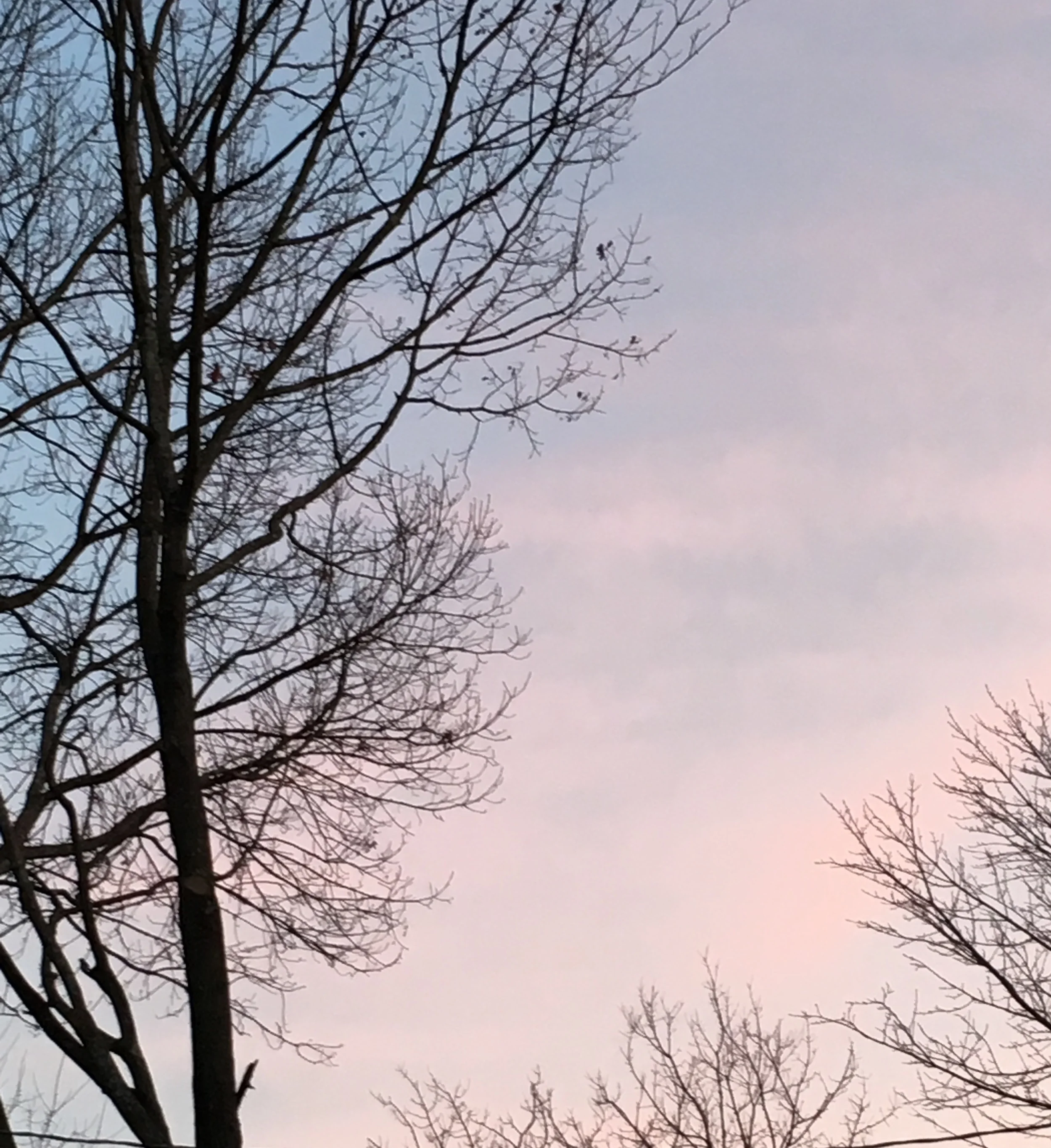 Sunset 1 Winter 2016.jpg