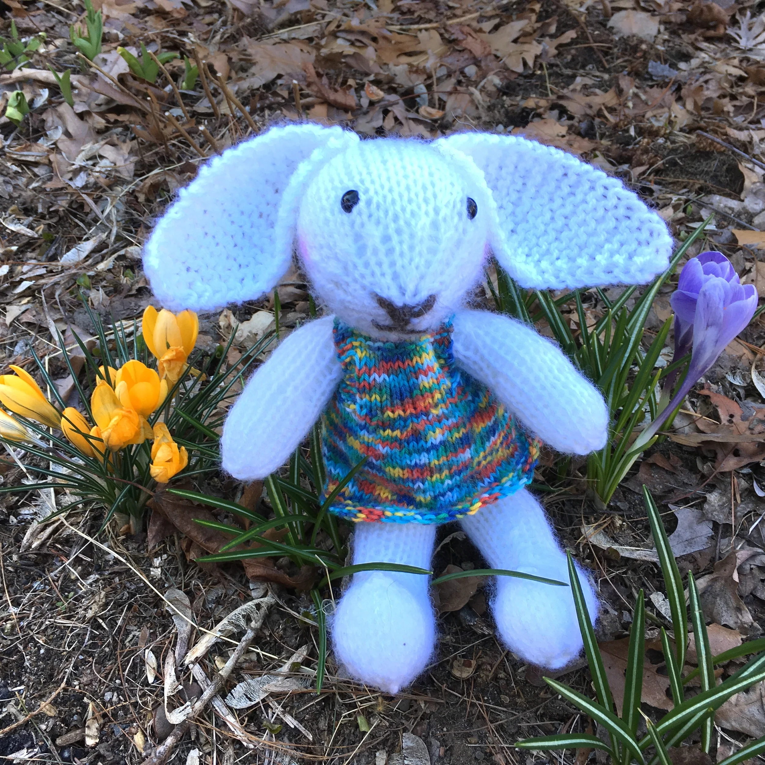 knitrabbit.jpg