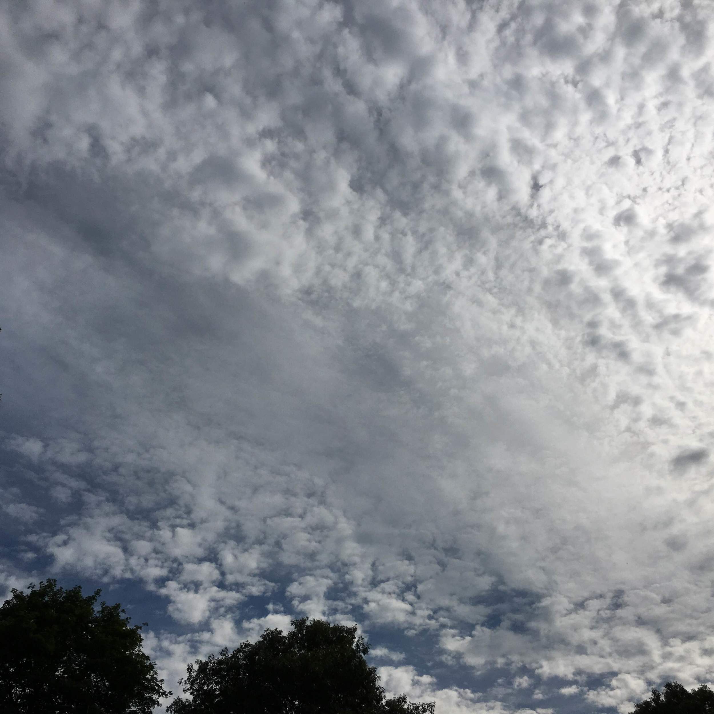 Sky light blue with clouds.jpg