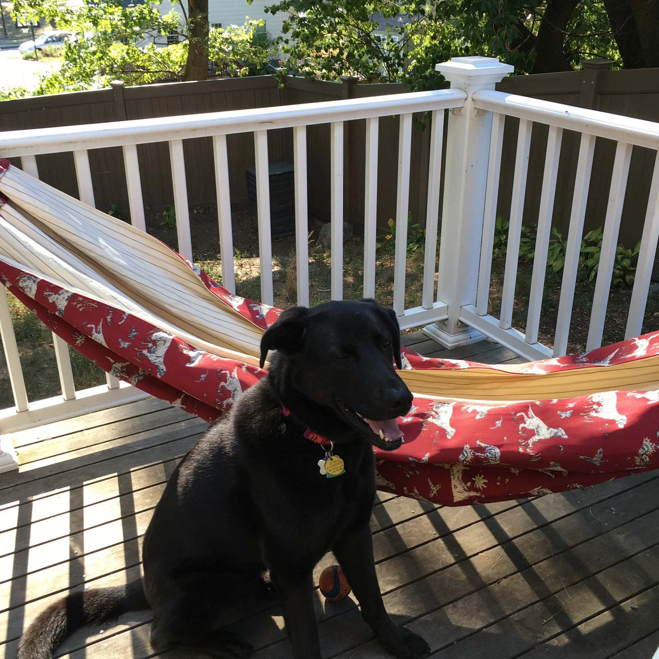 HazelwithModernTextilesLazyDayHammock.jpg