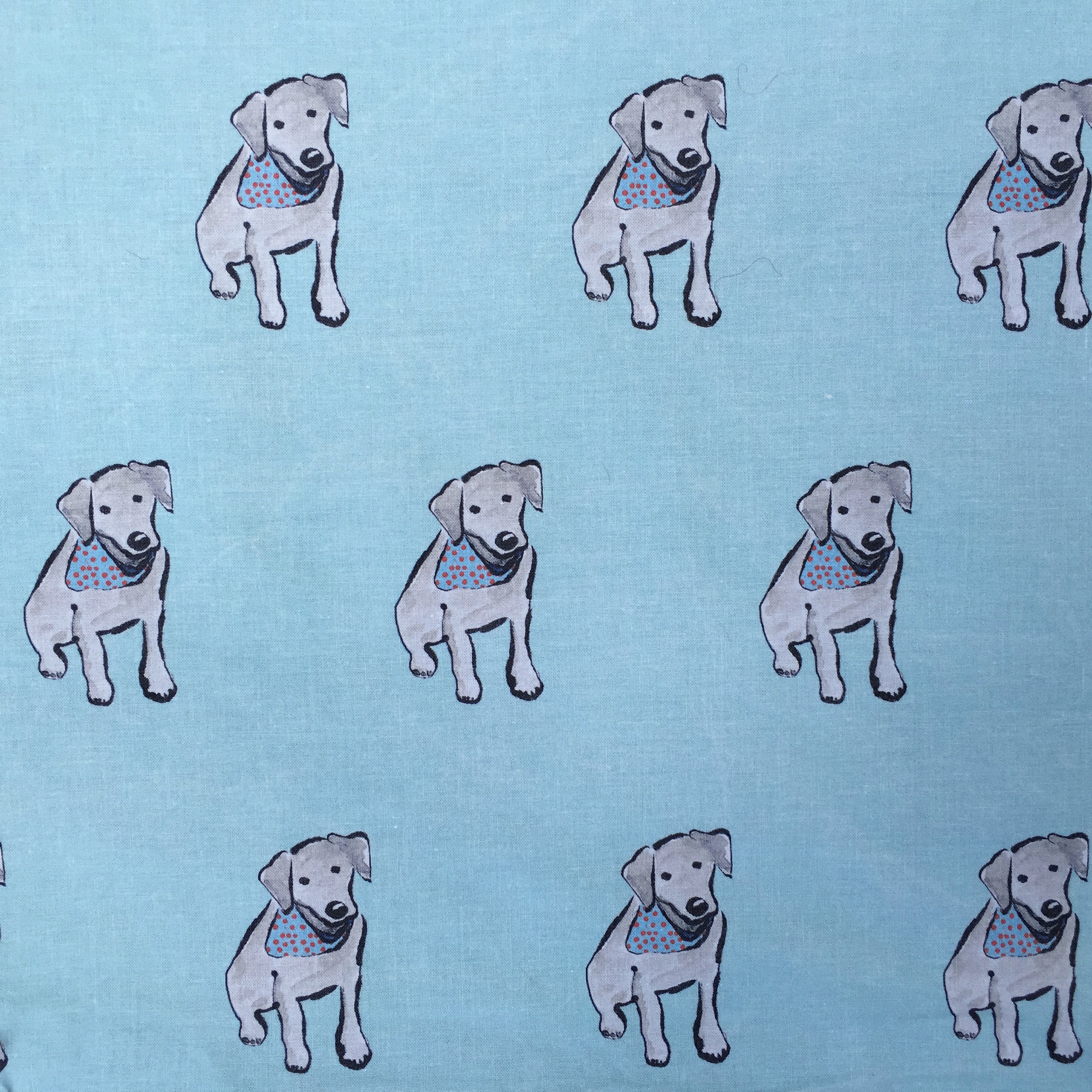 Fabric Lab Puppy Single aqua.jpg