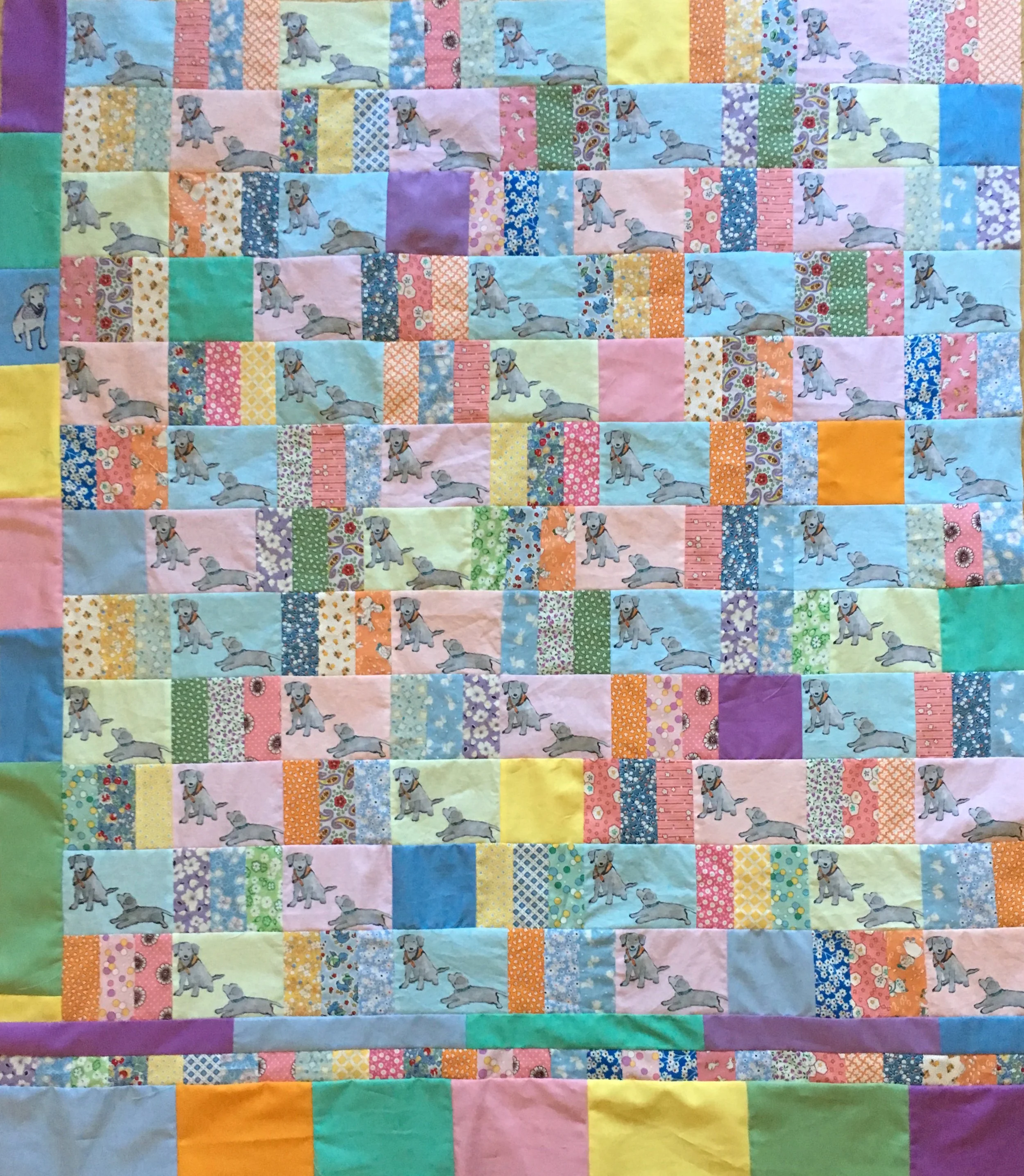 Completed Lab Puppies Quilt Top