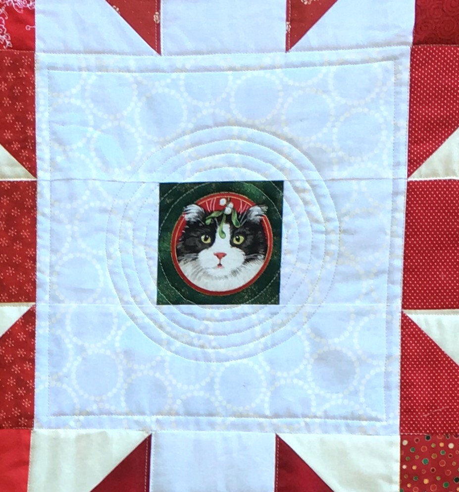 Circular quilting around the cat