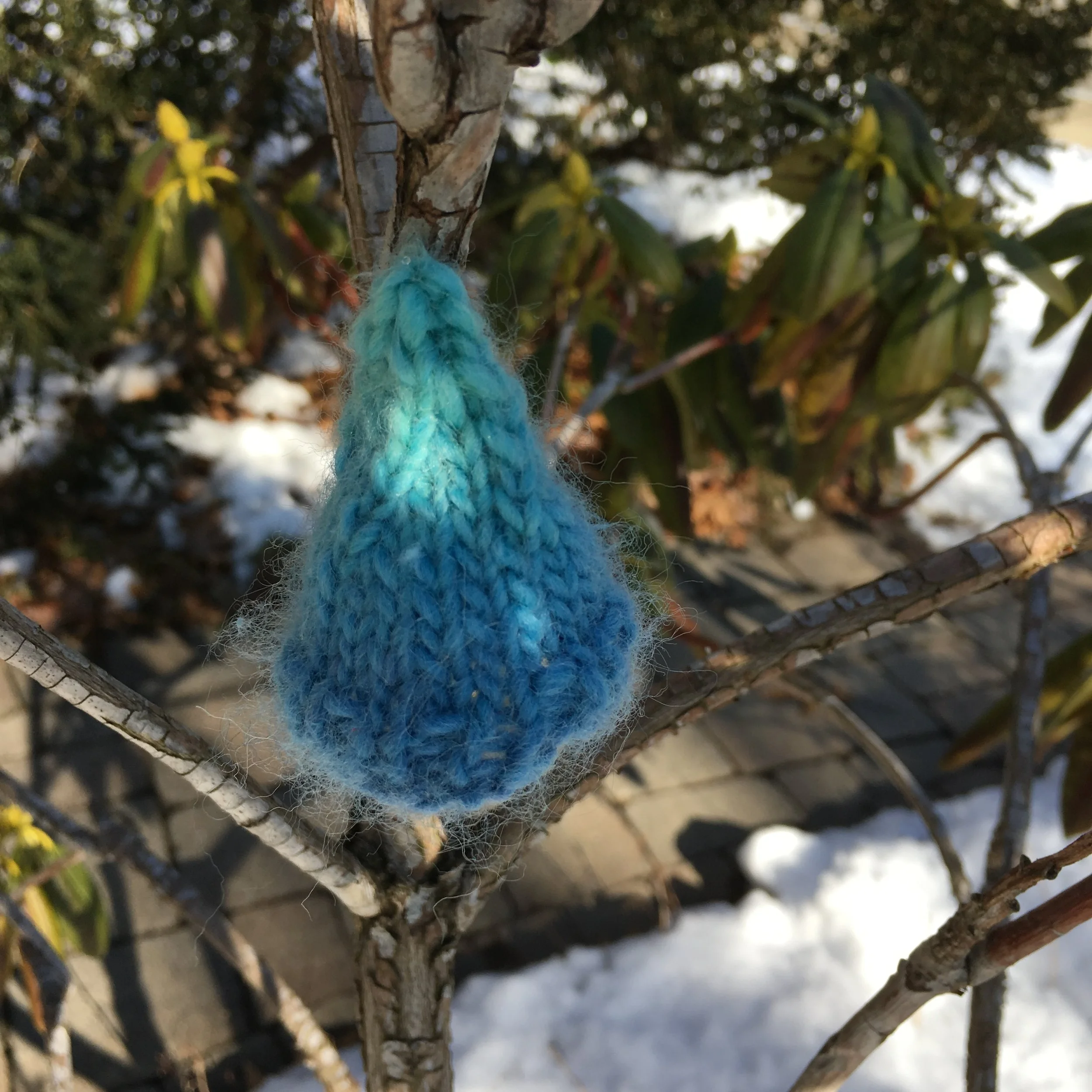 Oops! Somebody lost his hat in the rhododendron!