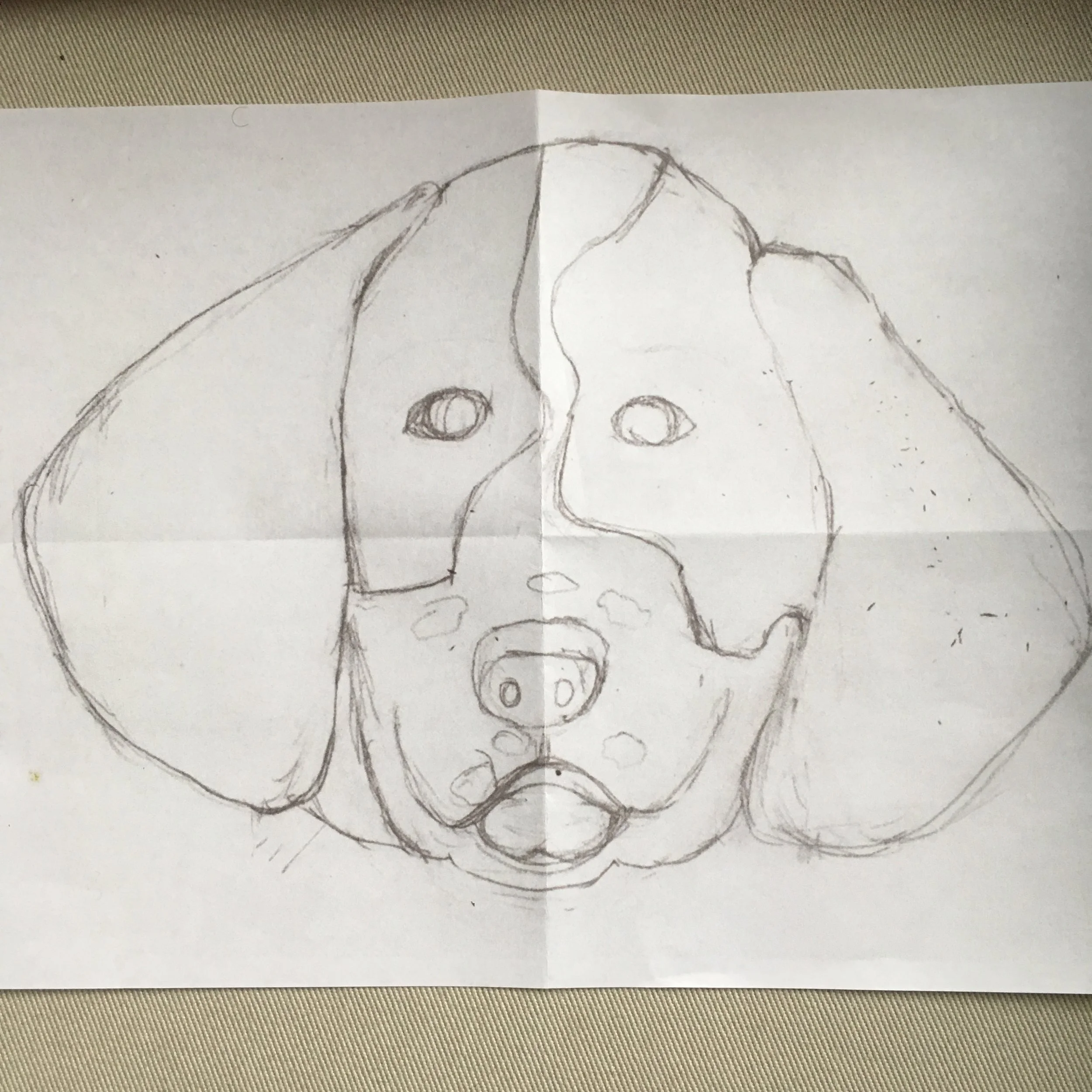 Springer drawing, folded in 4 quadrants to aid placement of the components on the pillow cover