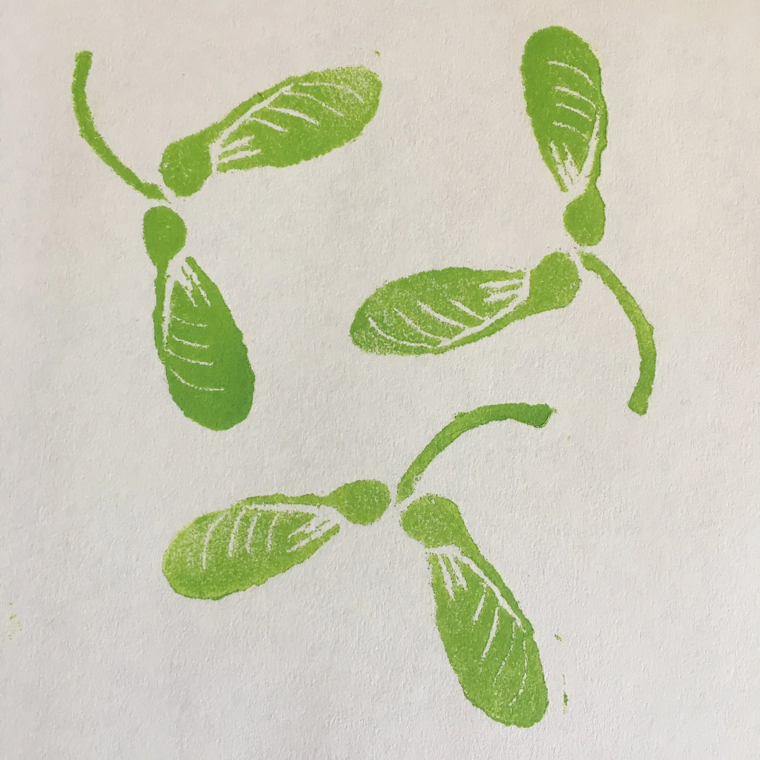 Block print on paper, “Maple Helicopters”
