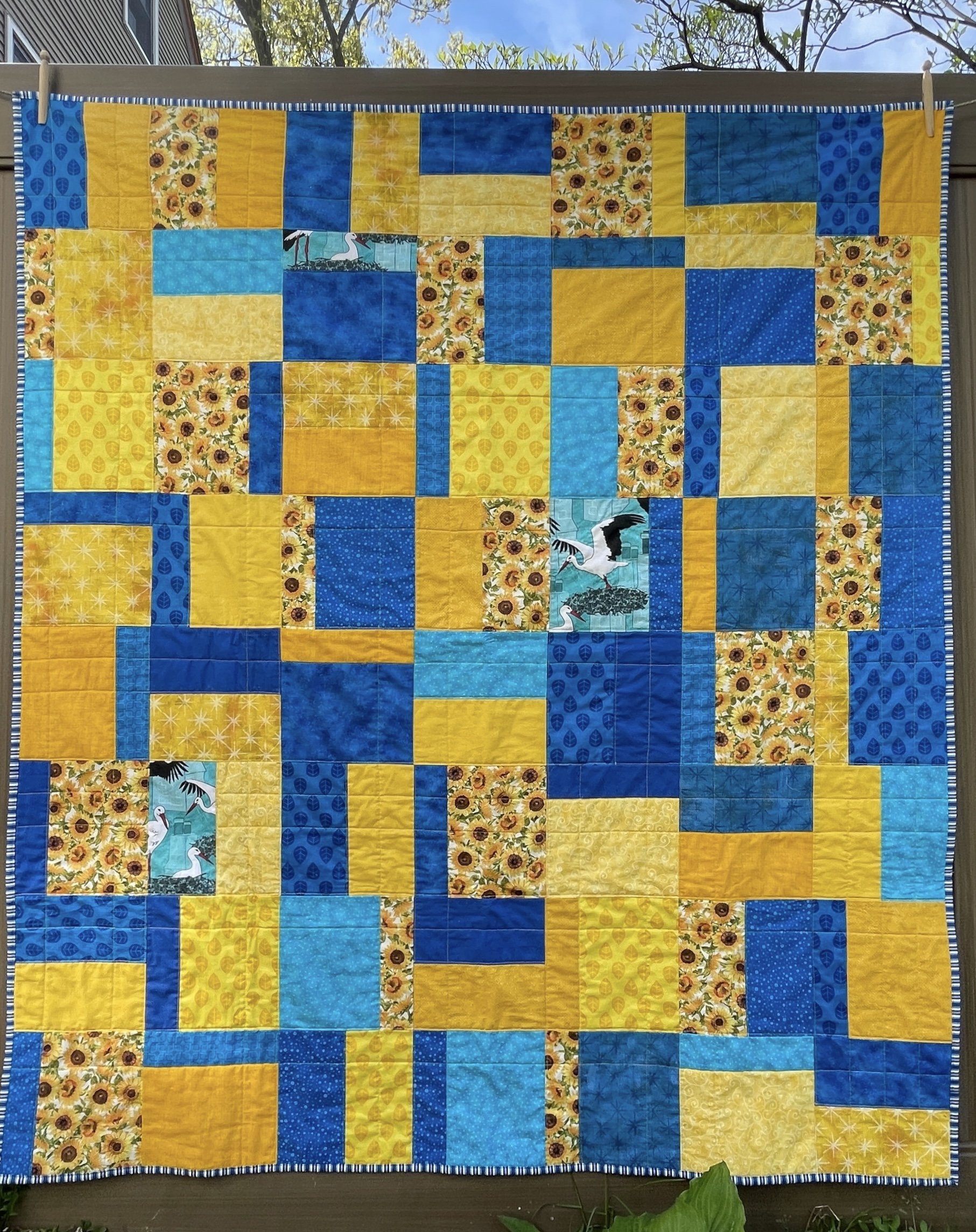 Hachi Quilt with Ukrainian Blue and Yellow Blocks — Sleeping Dog Quilts