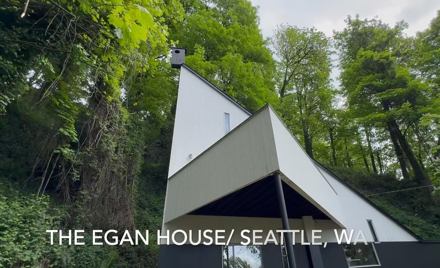 The Egan House. Staged by Spade And Archer. 
https://vimeo.com/944491786