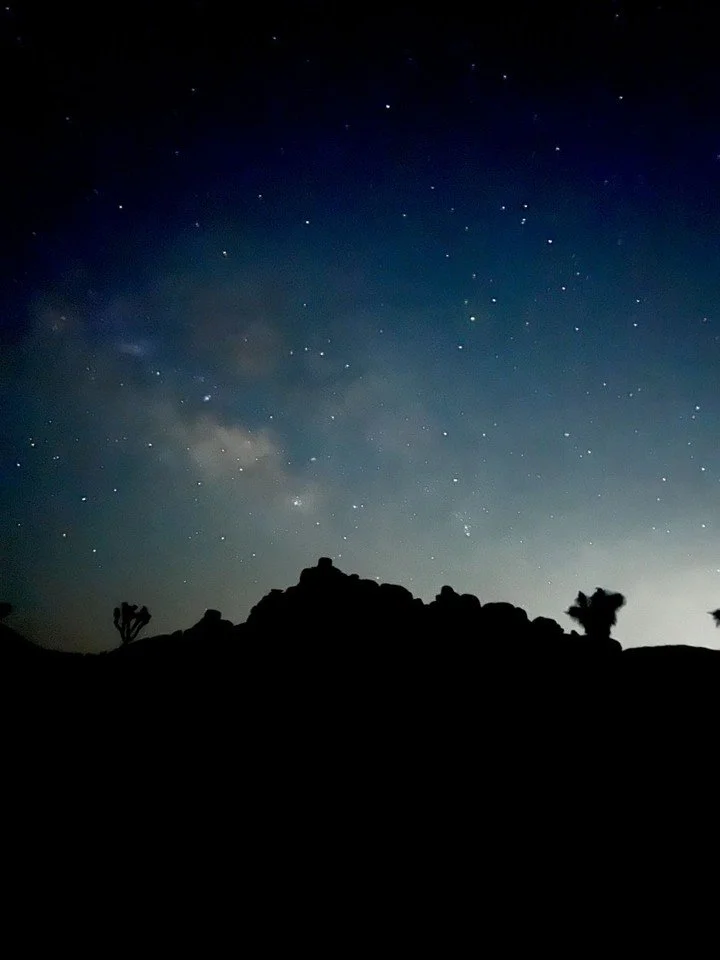 "Milky Way &amp; Scorpio, Joshua Tree State Park" Archival photo by Wren Sarrow just added to the TAG Art Auction! Pre-bidding begins under $90 - professionally framed 20 x 16 in. print. 

TAG Art Auction 2026 
Benefiting TAG &amp; Hand To 