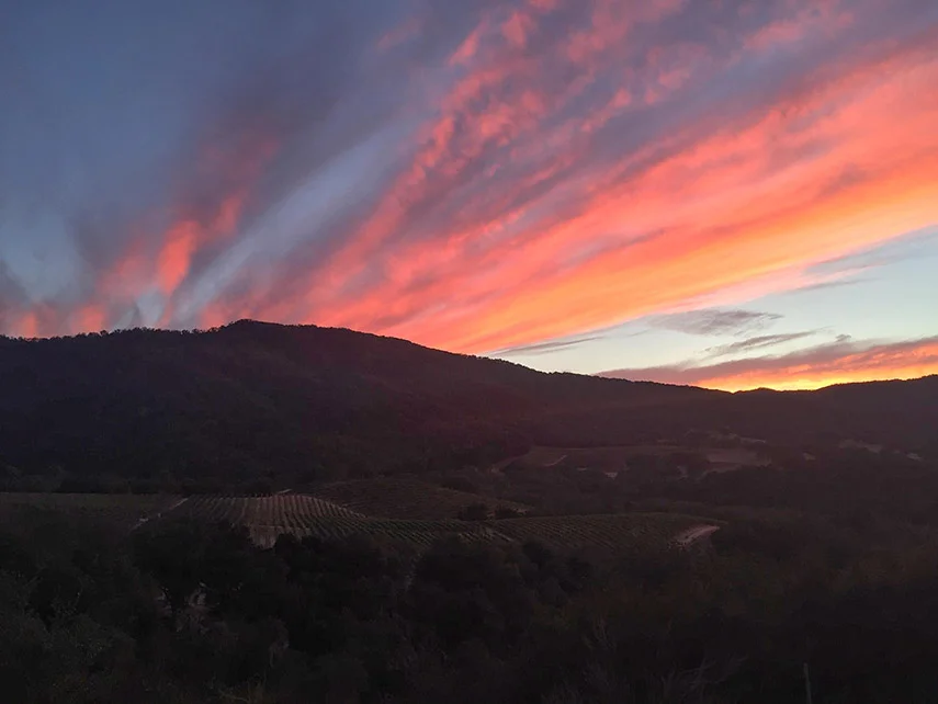 My dad snapped this pic of the sunset over a vineyard in Carmel Valley