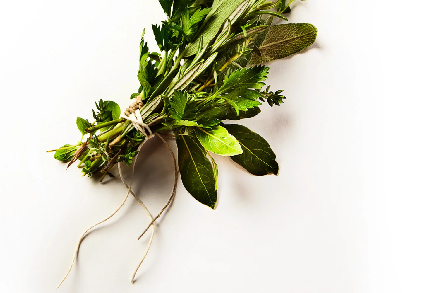 Herbs 1-2.jpg